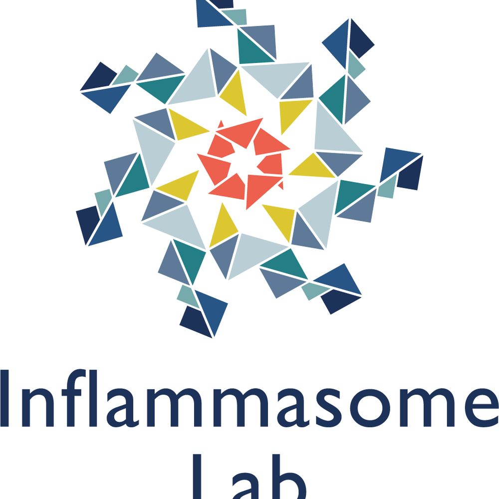 Profile picture inflammasomelab.bsky.social