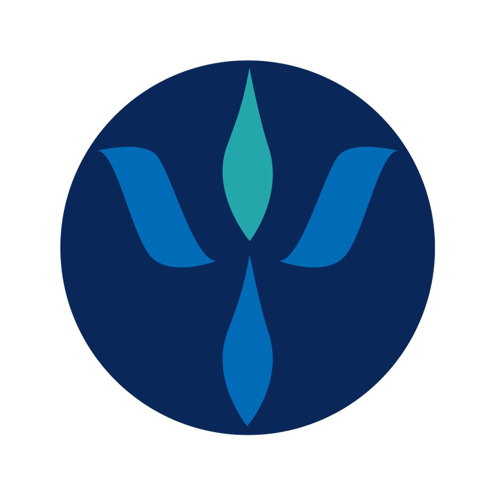 American Psychological Foundation