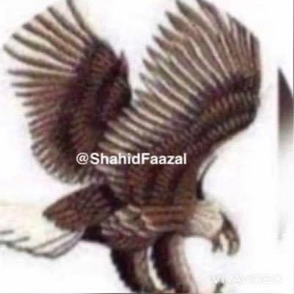 Shahid Faazal