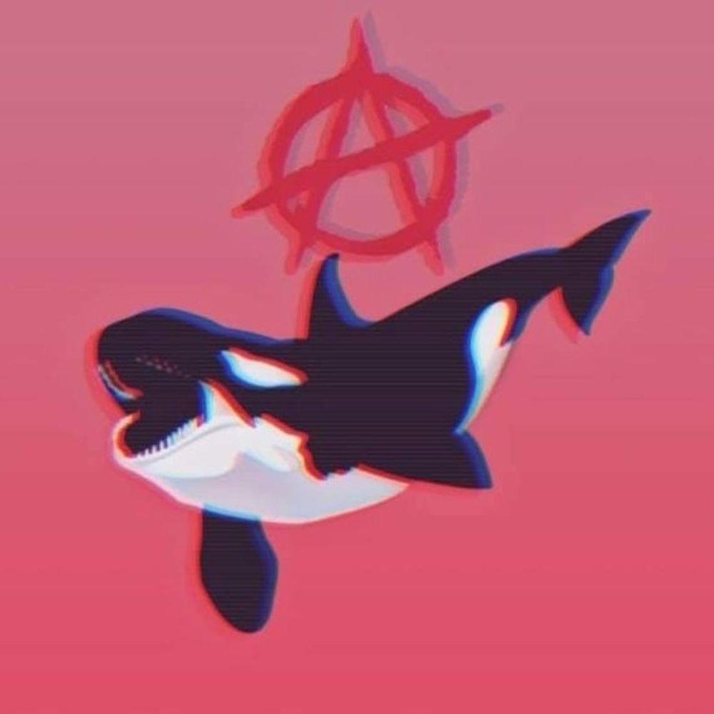 XsehXsaizzy