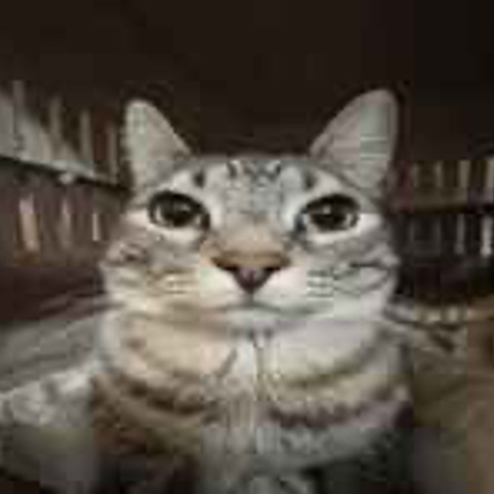 Cherfo 