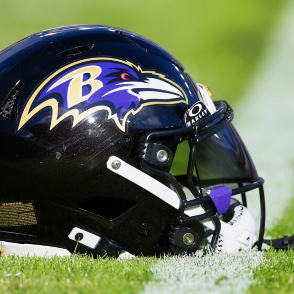 Baltimore Ravens Fan Corner