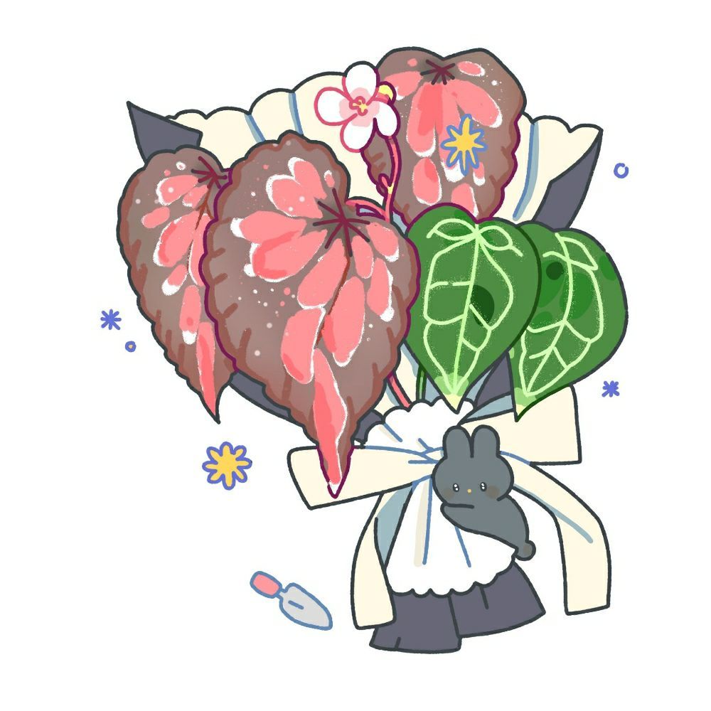 페이리나
