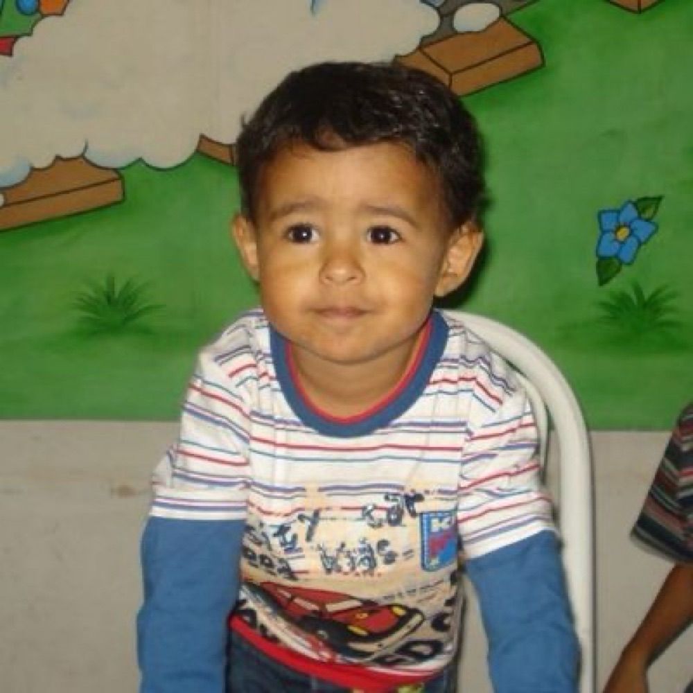 Amante do Galo 