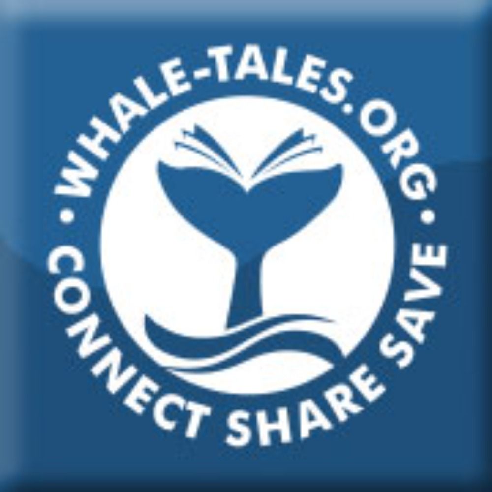 Whale Tales's avatar