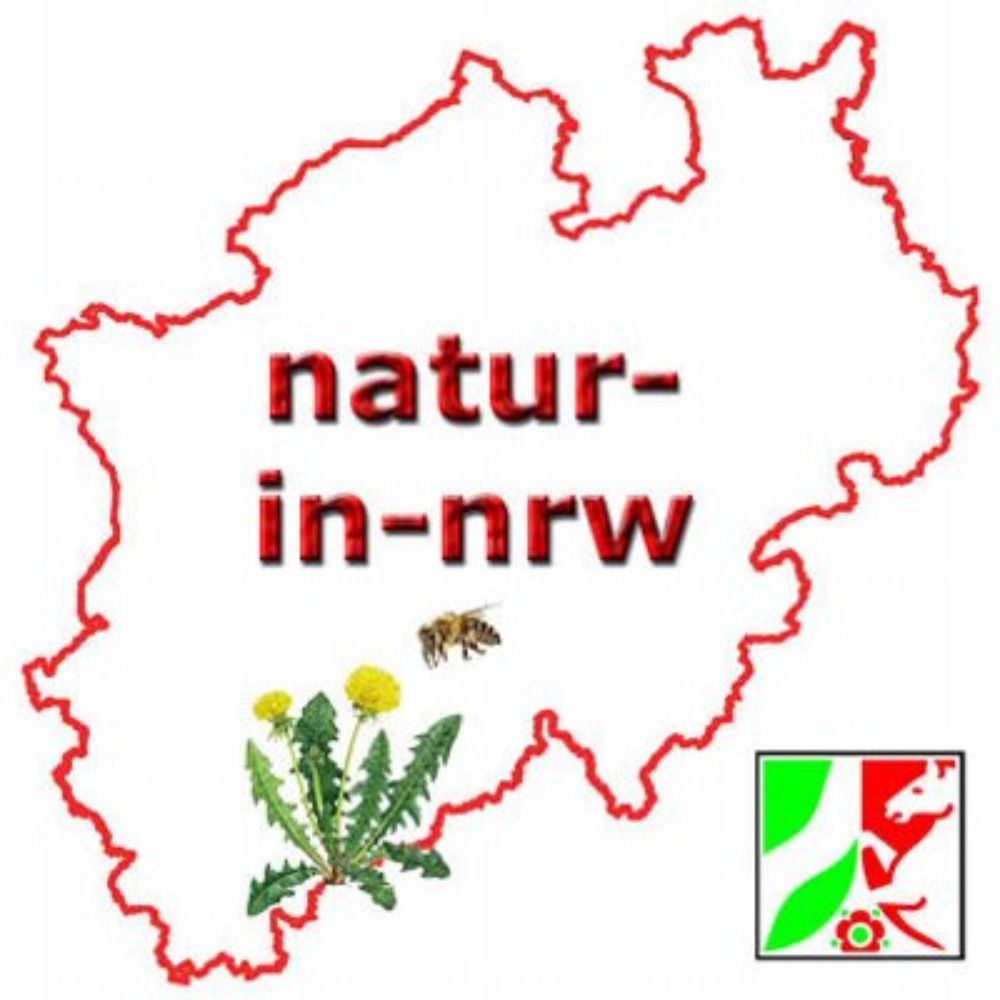 Axel Steiner - natur-in-nrw.de