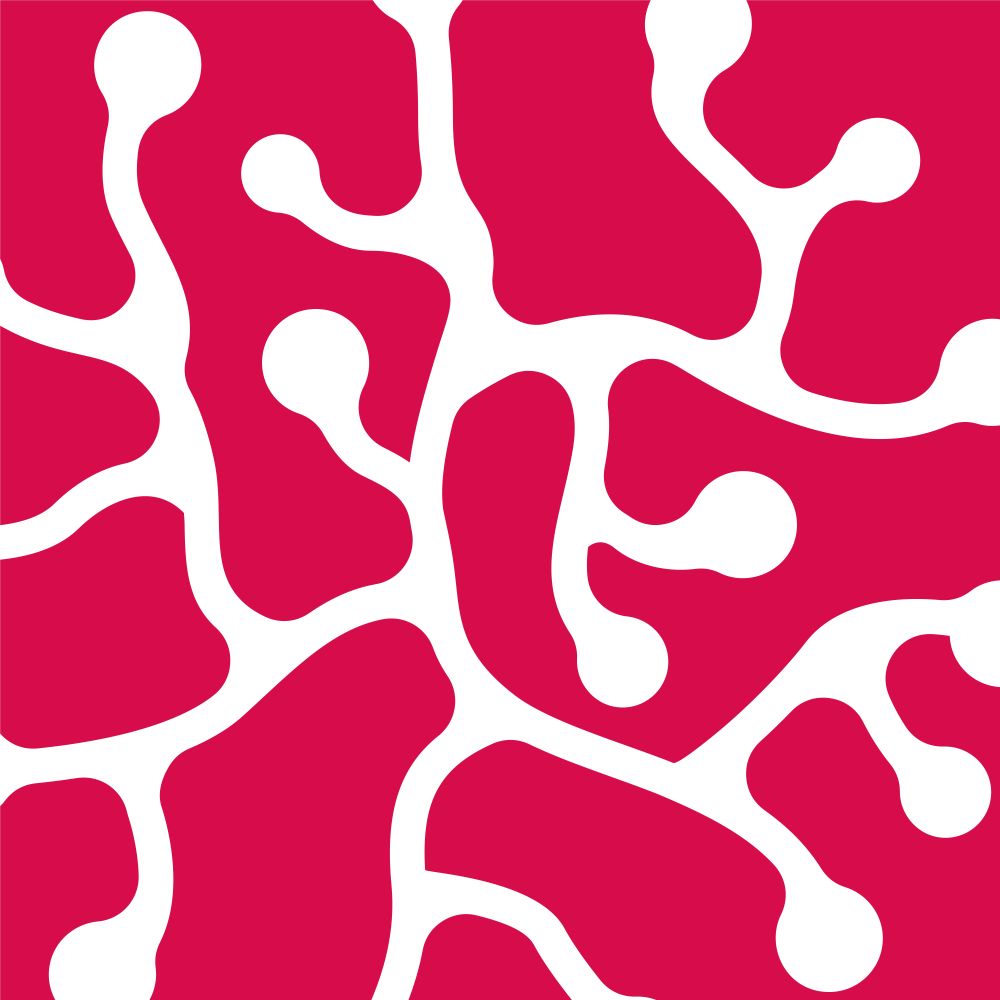 Swiss Network for Dementia Research