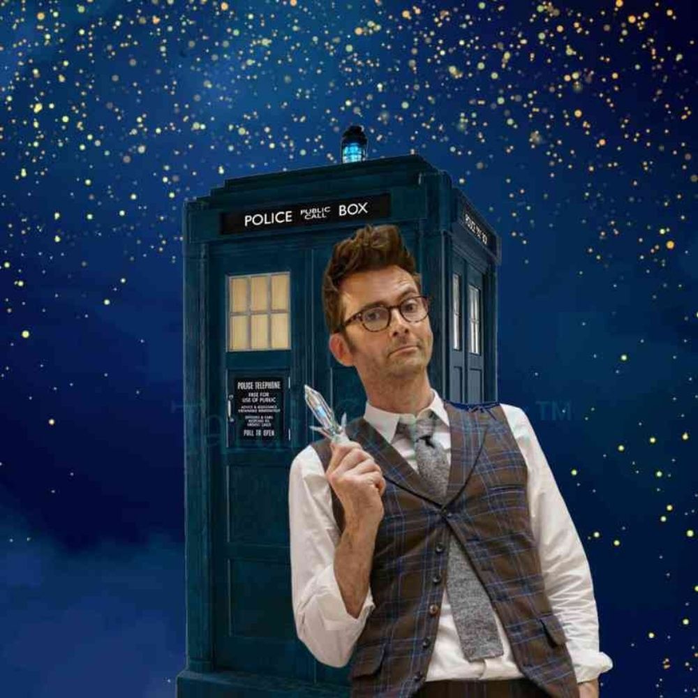 The TARDIS