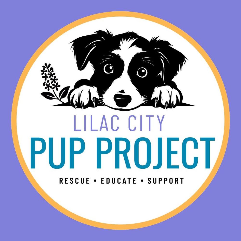 Lilac City Pup Project