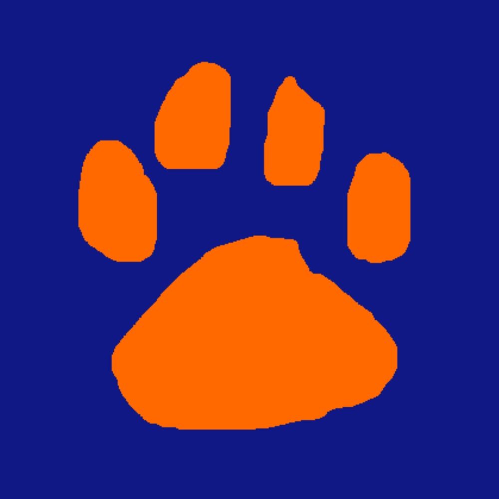 Illini Fur. Just One Of Them.