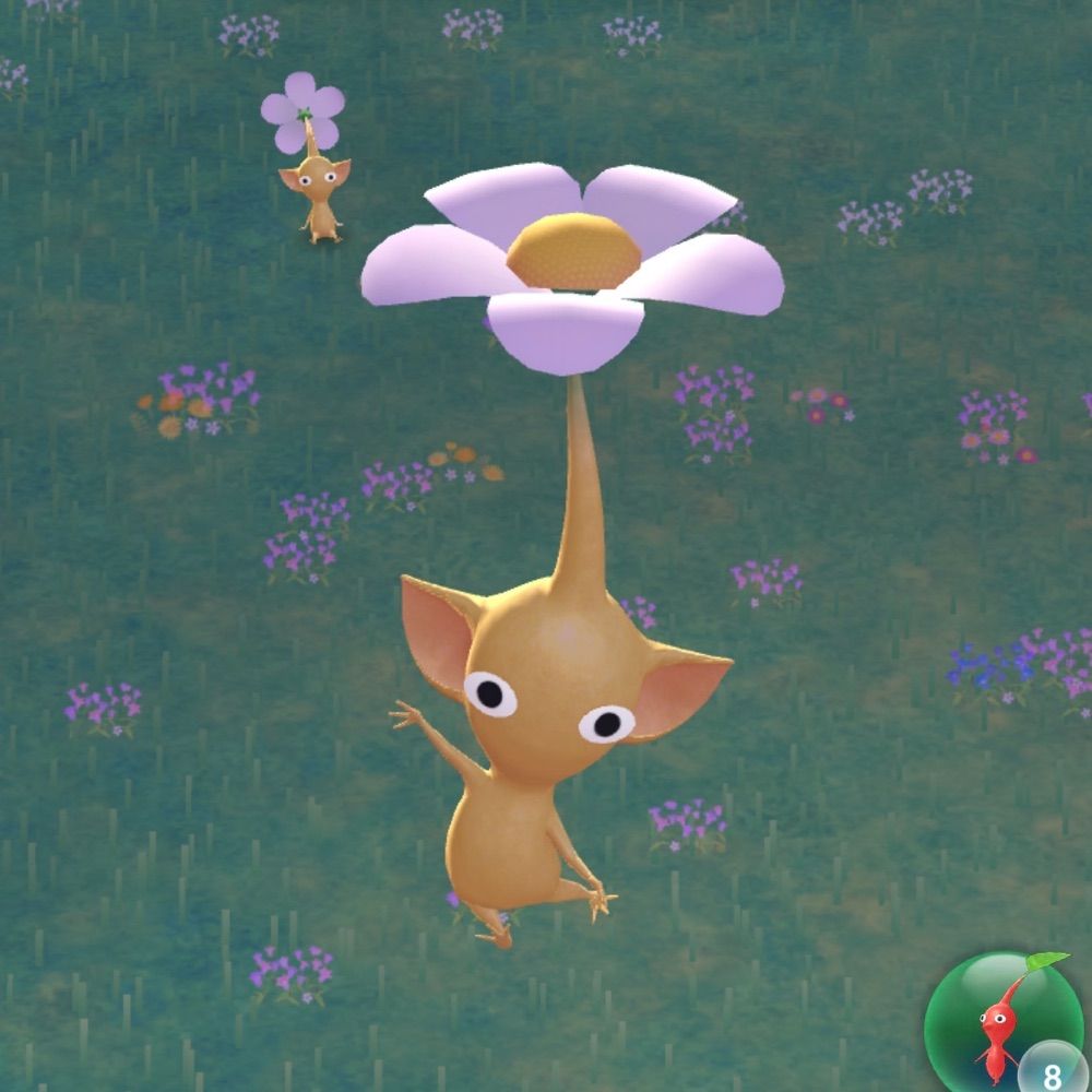 요루 여친