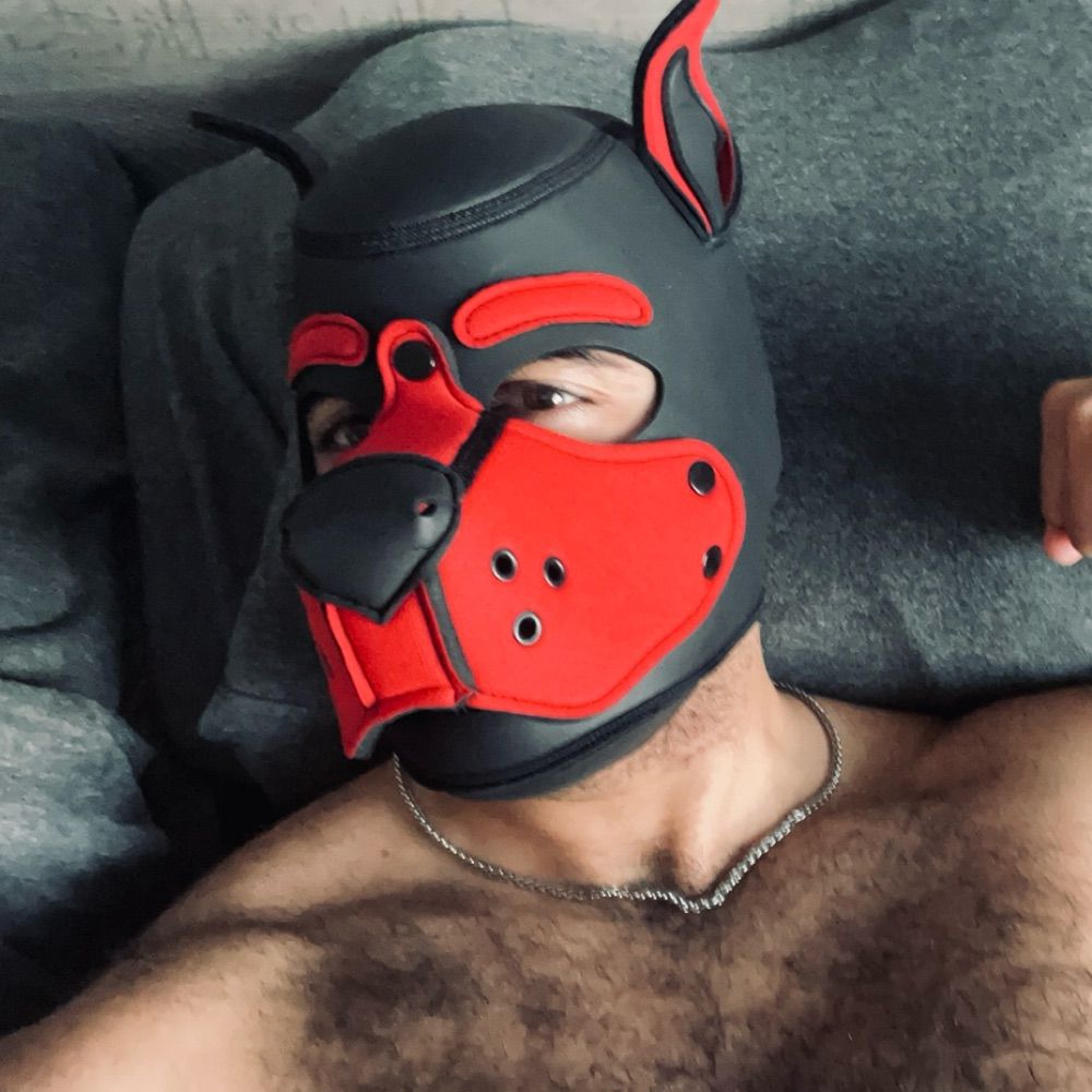 Pup Oso