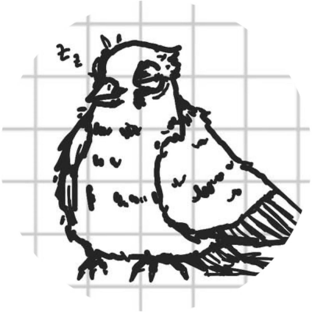 pigeon enthusiast