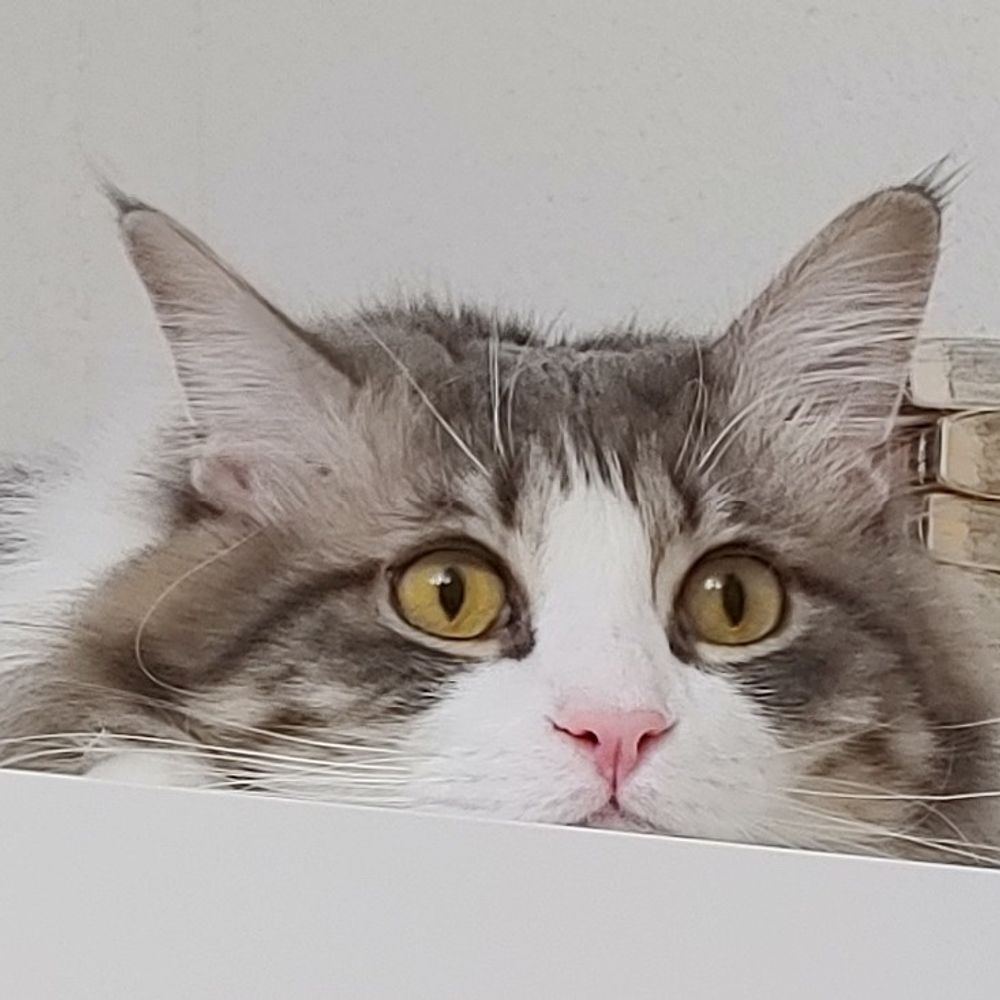 탁