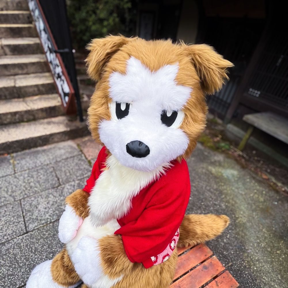 またたび犬