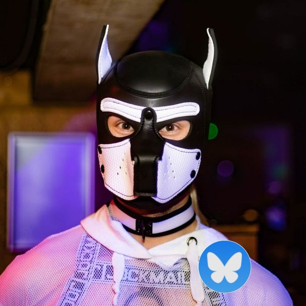 Pup Omnis