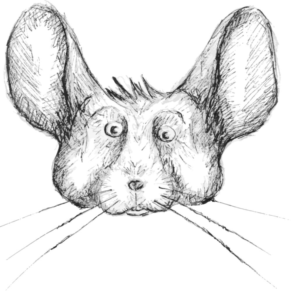 Chris Chinchilla