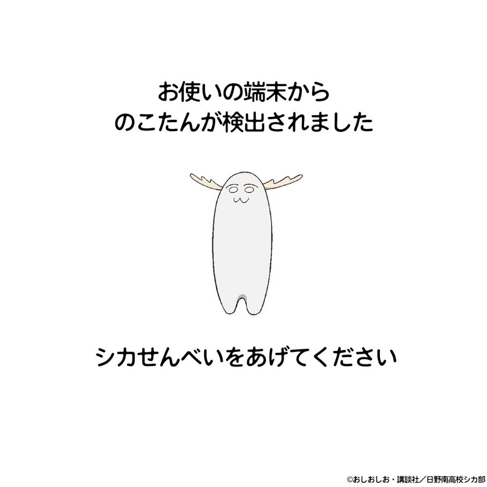 灰猫