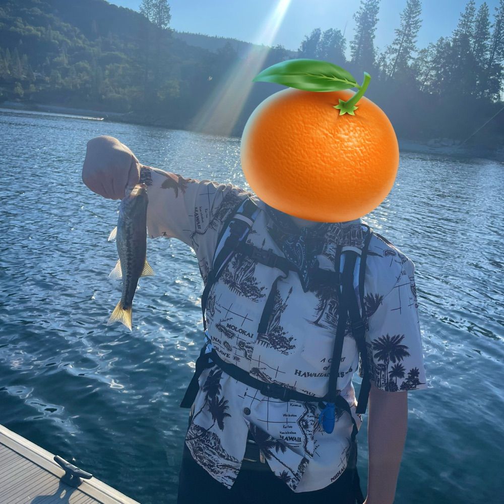 da-rin🍊🍽️