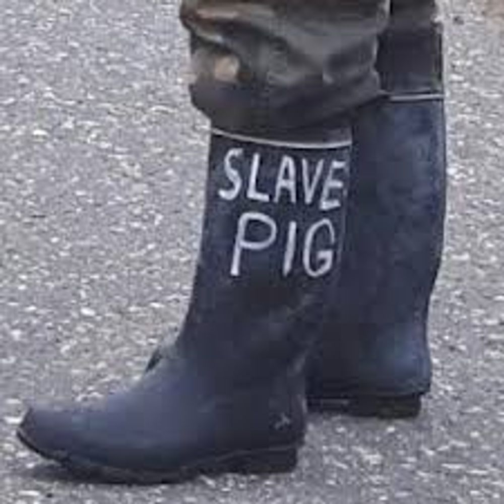 rubber boot pig slave