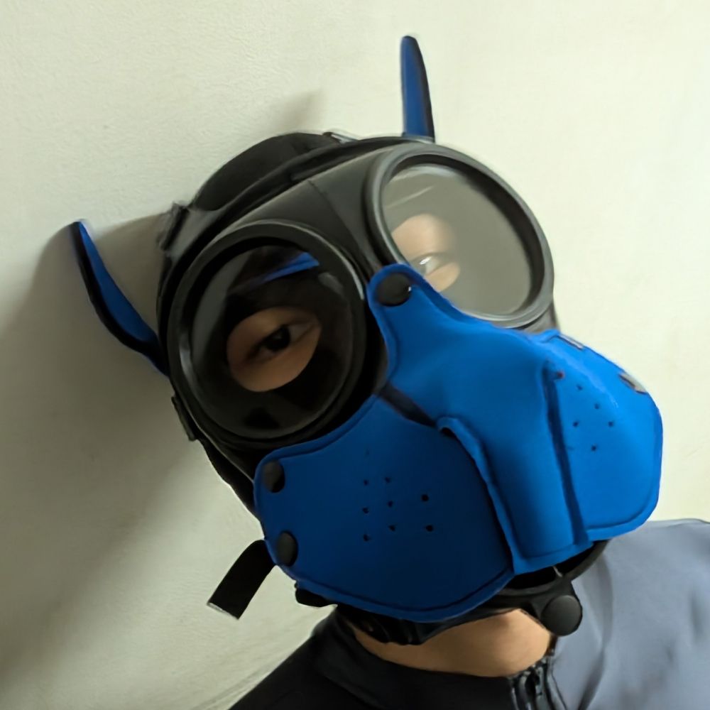 Sungear