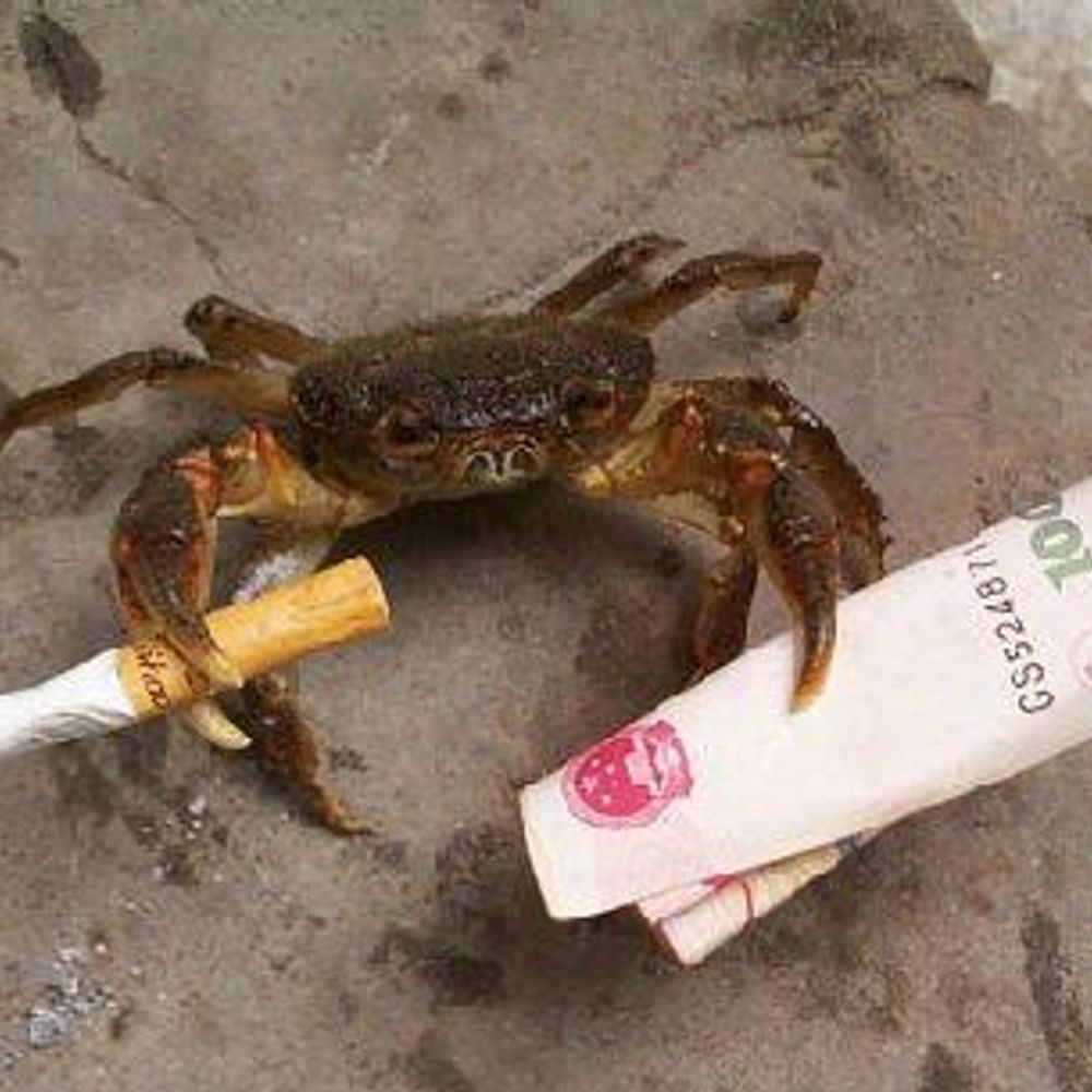CrabFactor