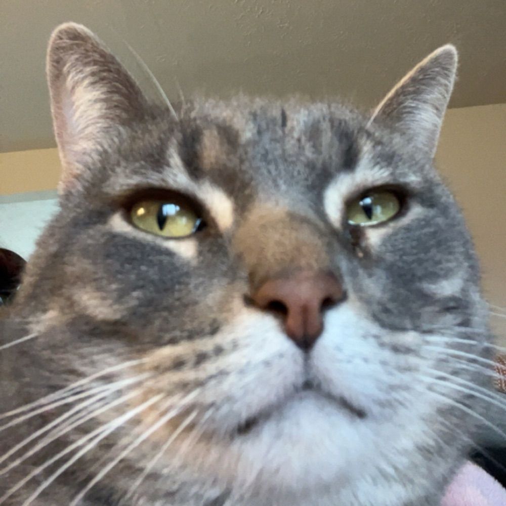 kait uwu