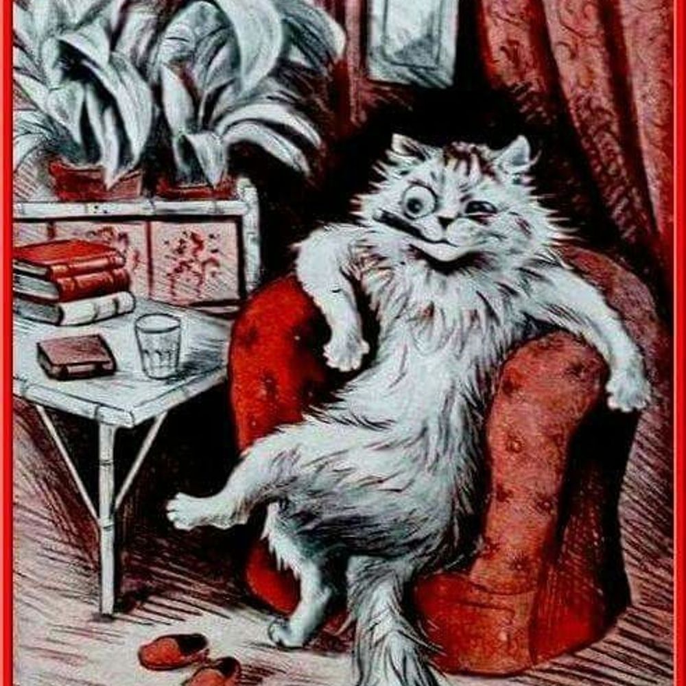 12 Trenchcoats In A Cat