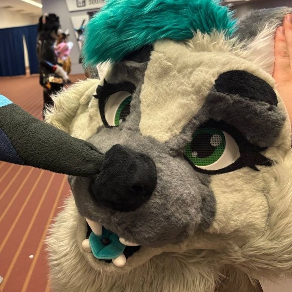 lthotter.bsky.social profile picture