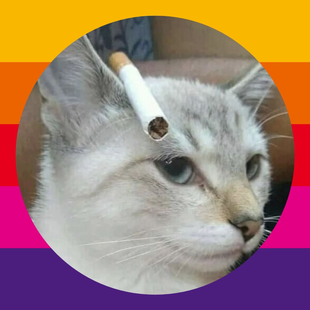 Doidey
