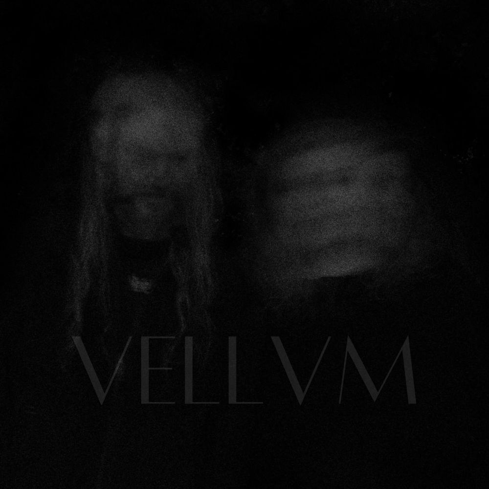 VELLVM