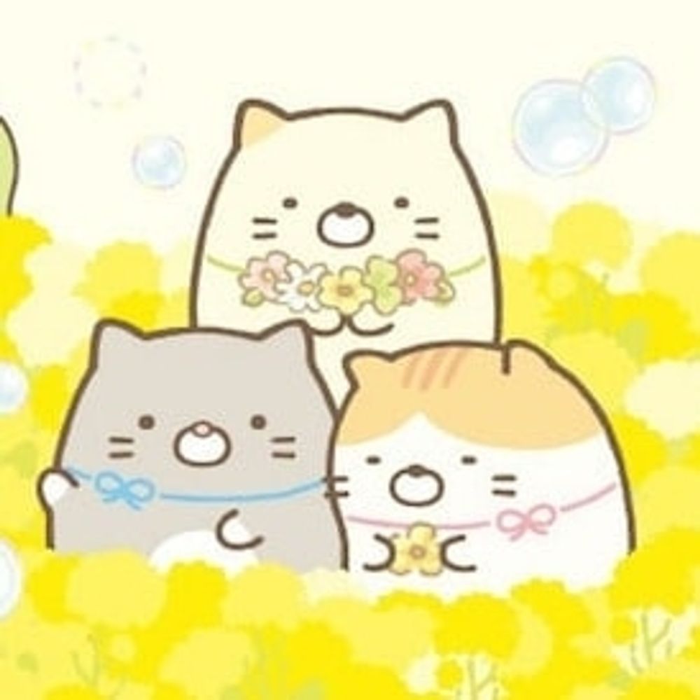 ミサ