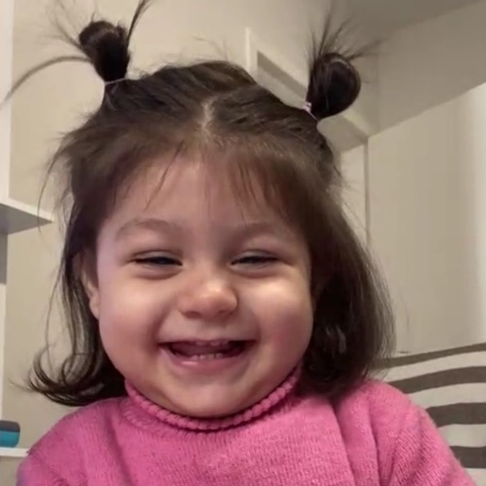 mini aninha