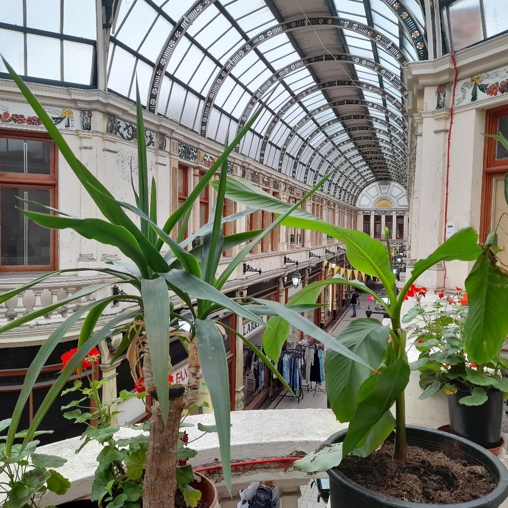 Hepworth's Arcade