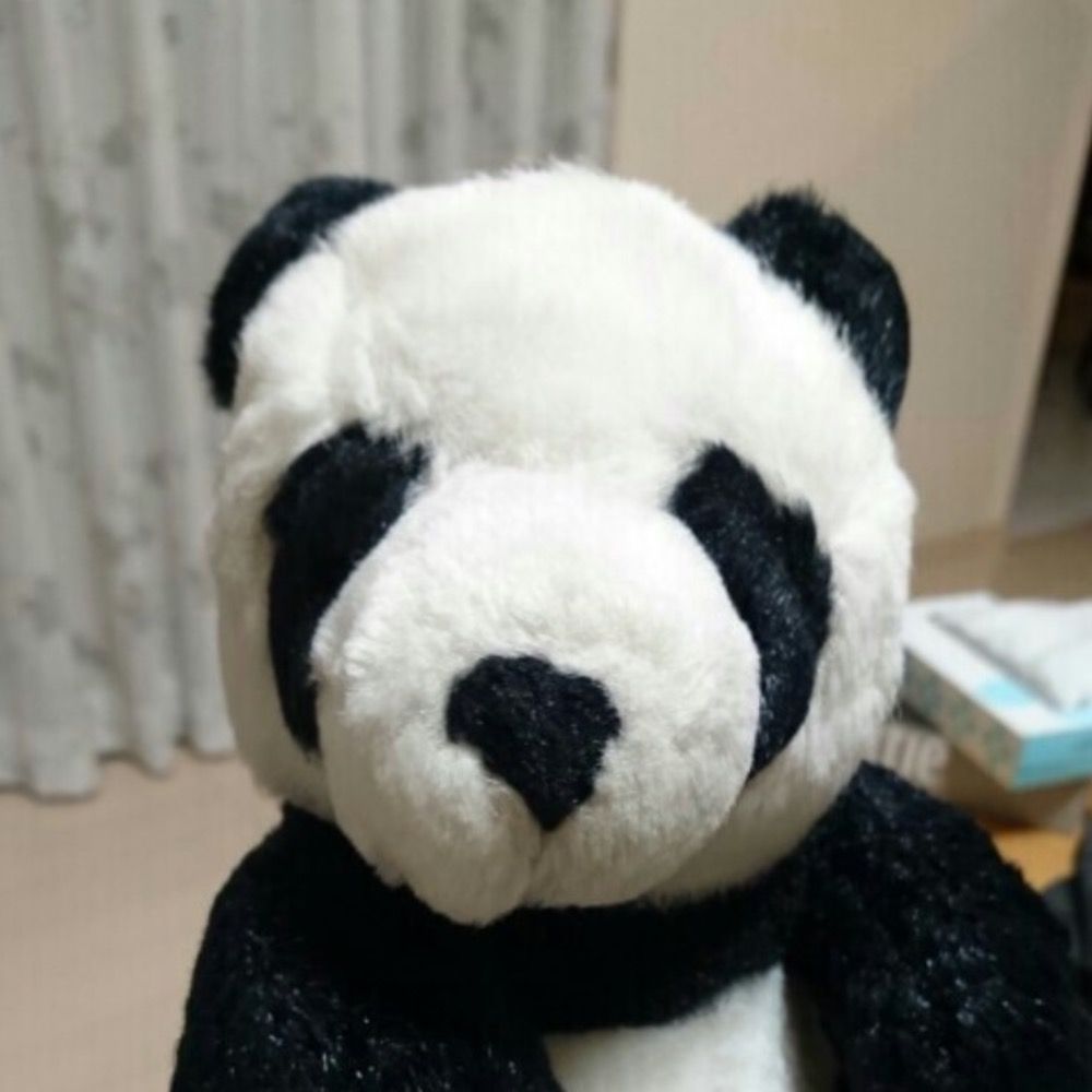 ぱだちゃ