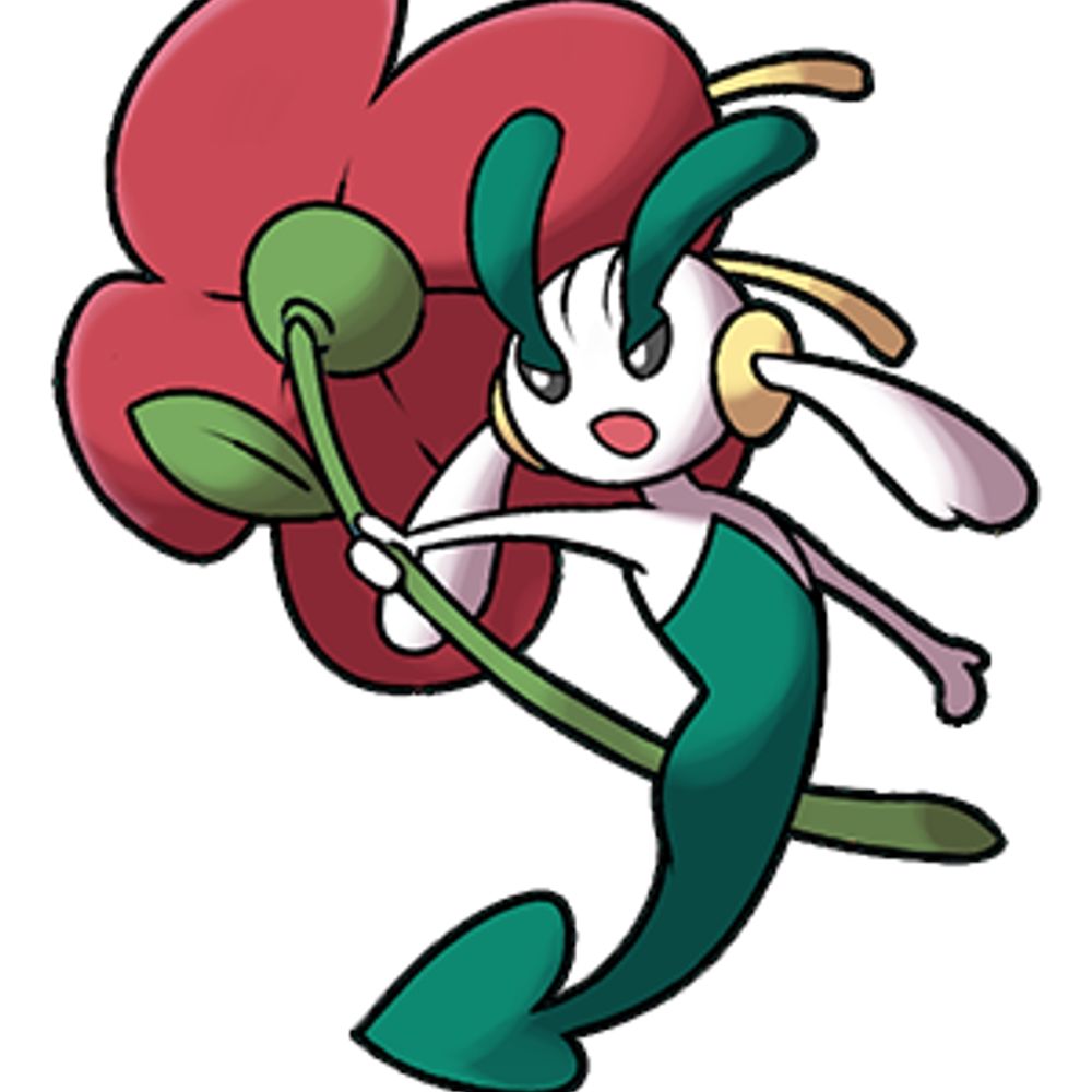 Rob | Flowete