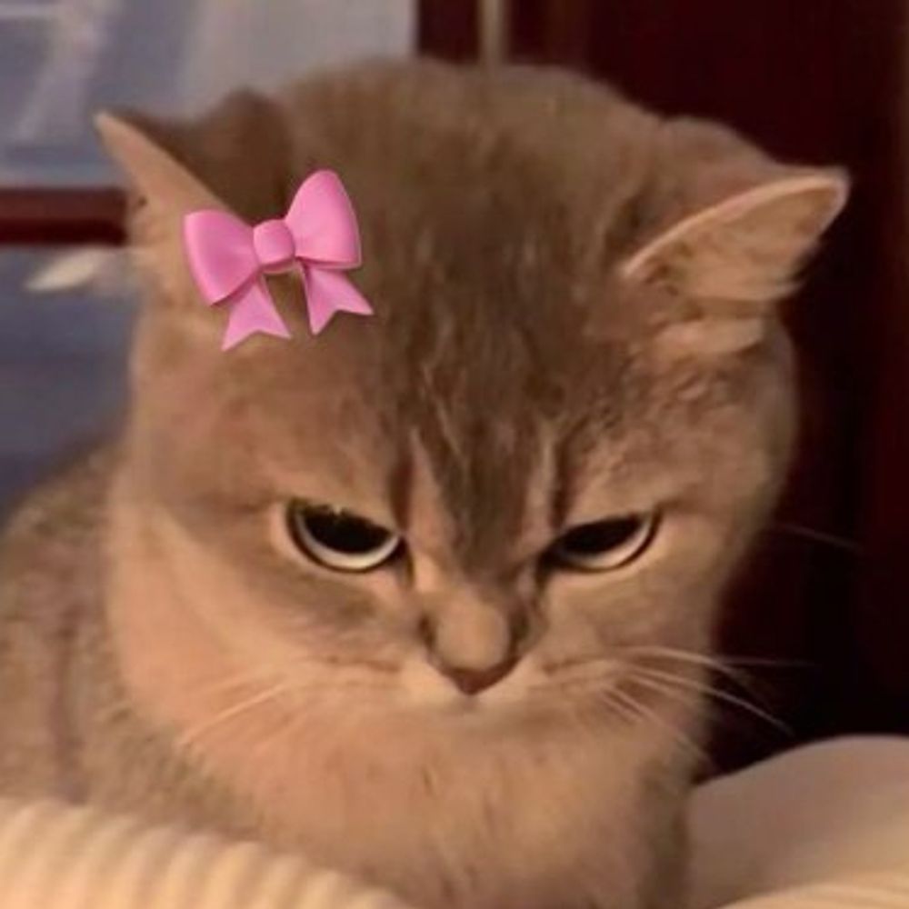 User avatar