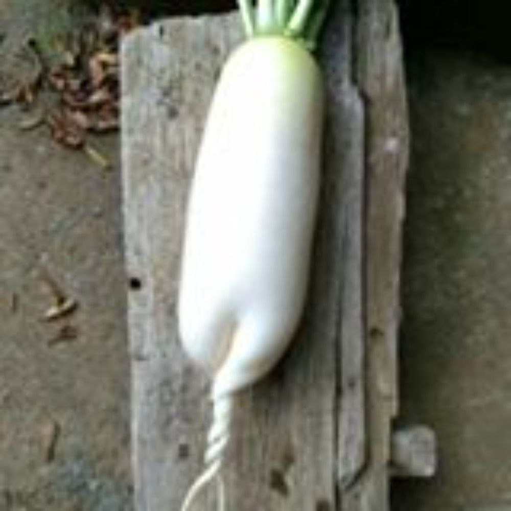 がつつ