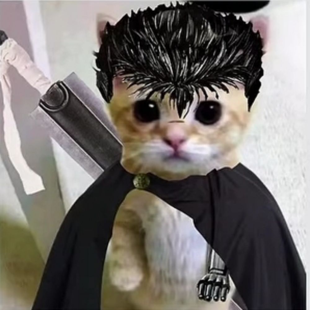 Rinã