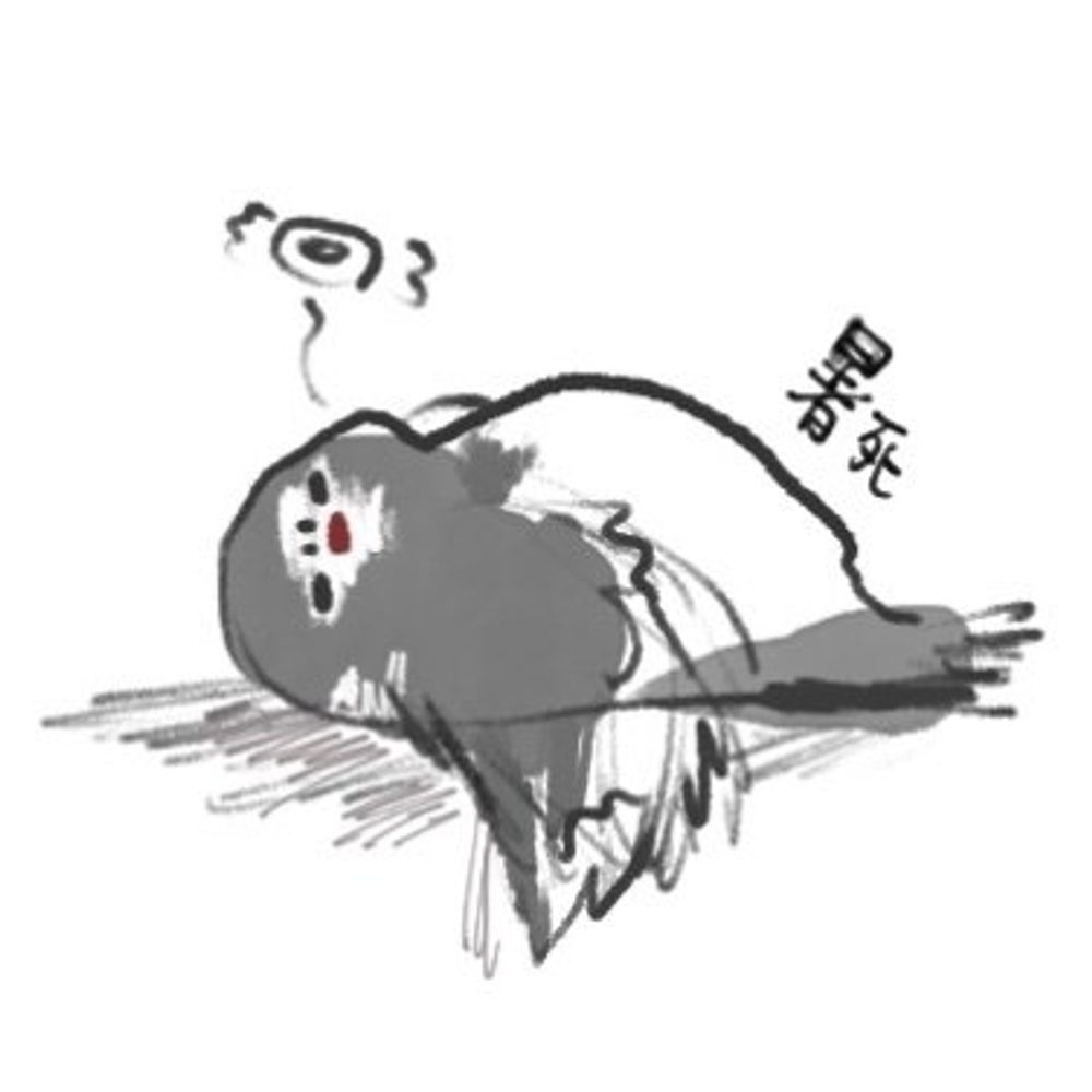 江戸切