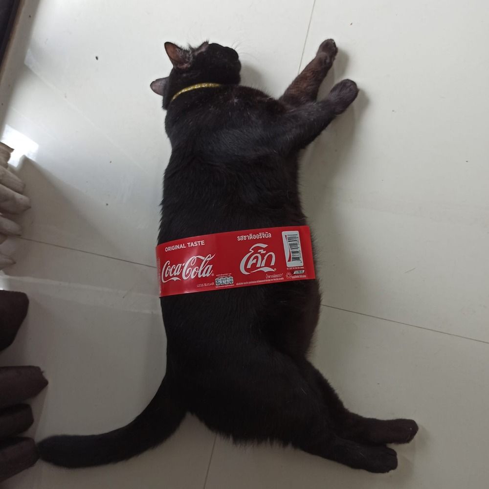 post enjoyer