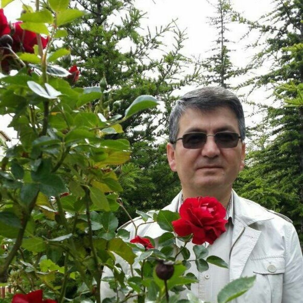 Alimoğlu