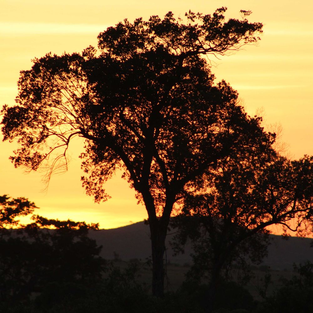 Political Ecology of Environmental Conflict