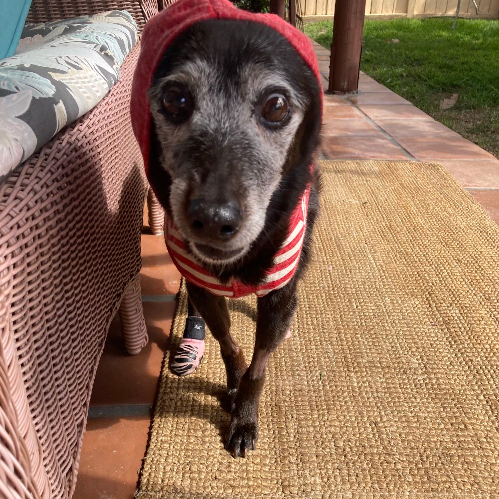 Macydog (she/her)