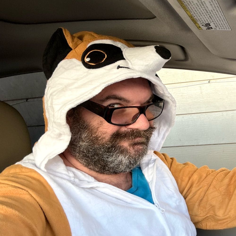 The Dandy Lion