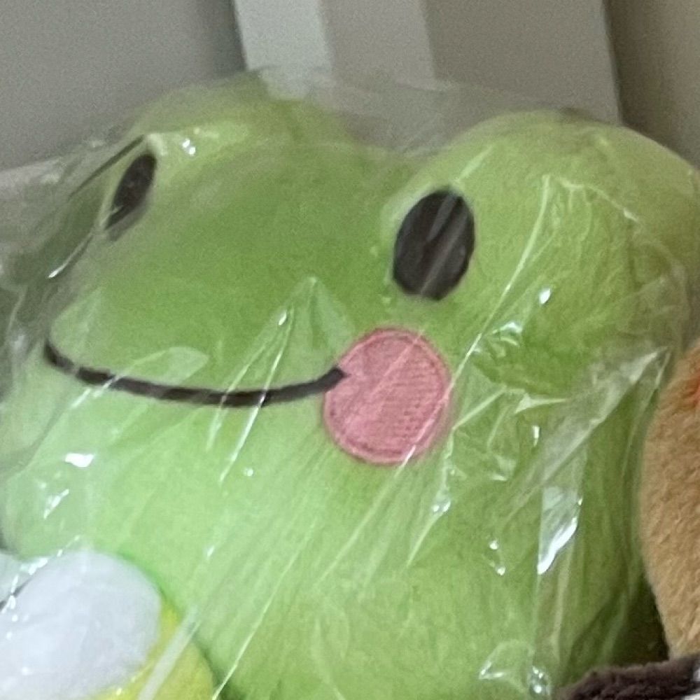 더 용감해진 개굴씨