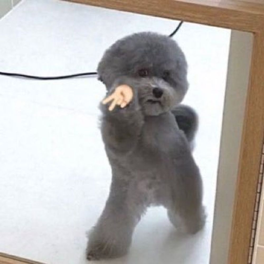 Bunnydaedit