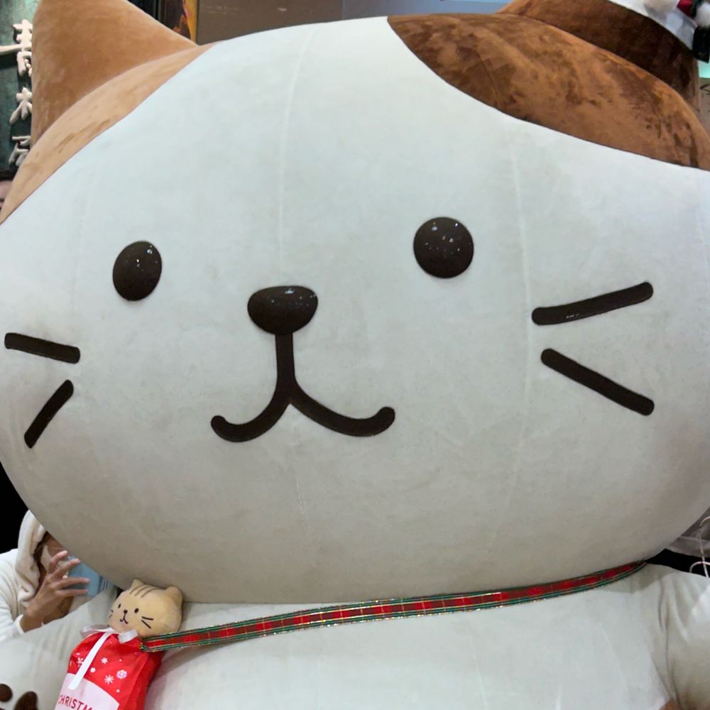 葉っぱのつゆ