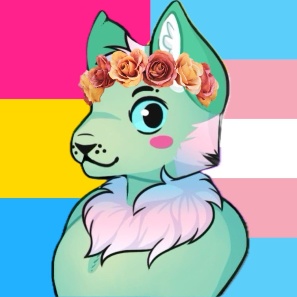 Xavier The Folf