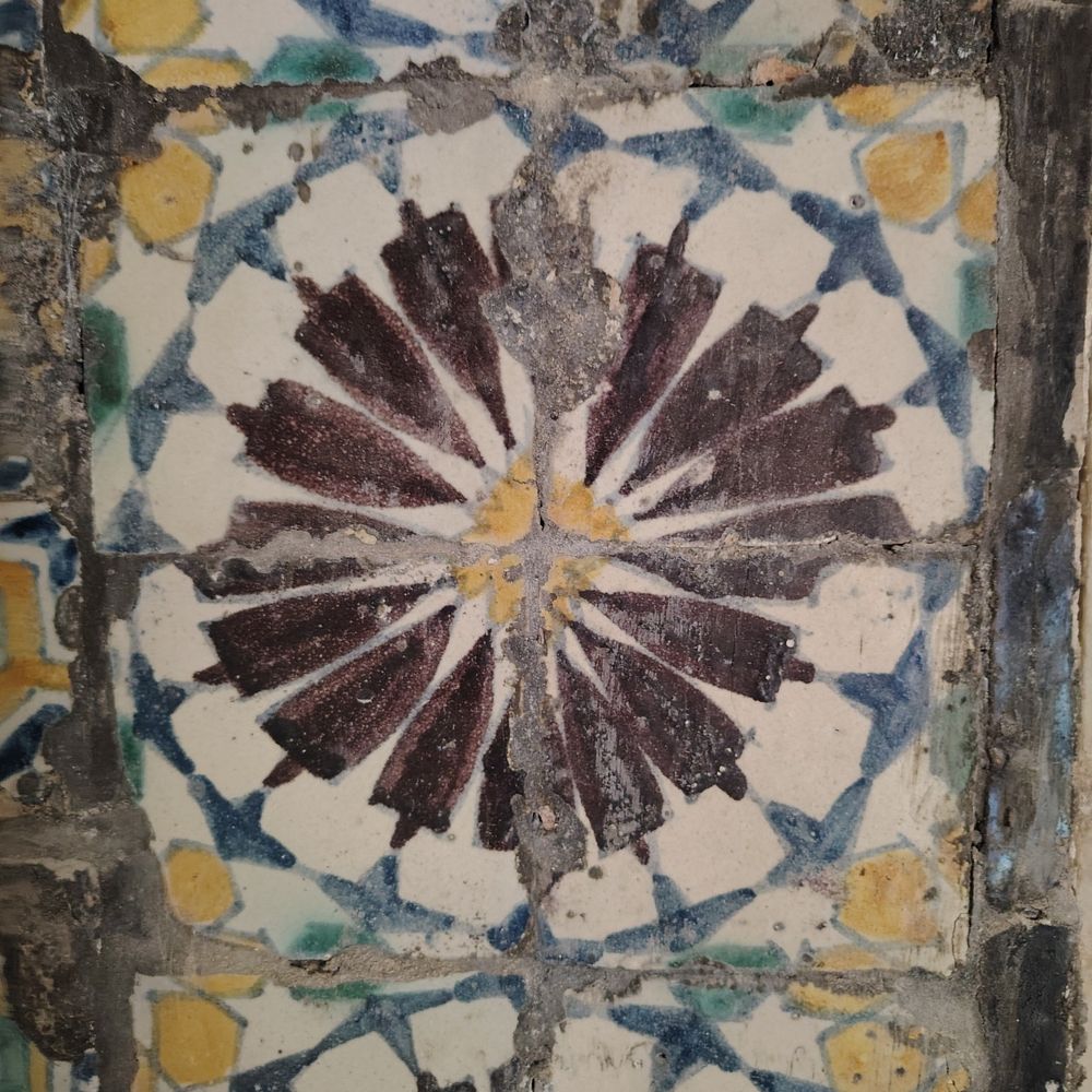 valeschiattarella.bsky.social